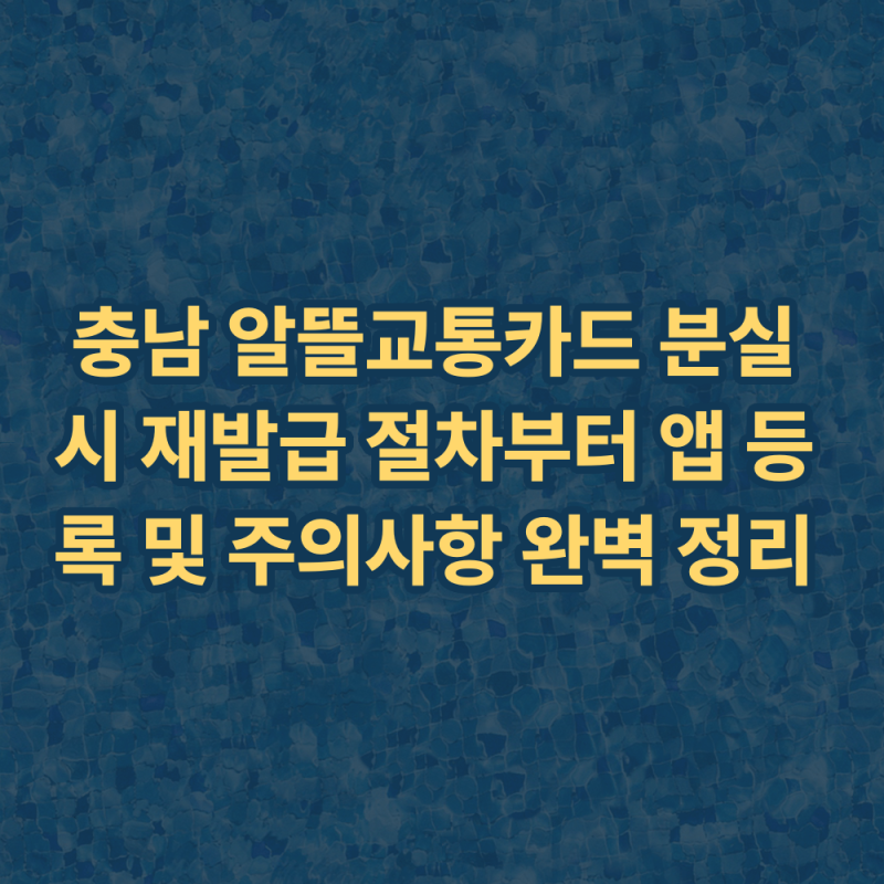 충남 어린이 청소년 알뜰교통카드 분실 시 재발급 절차 앱 등록 주의사항