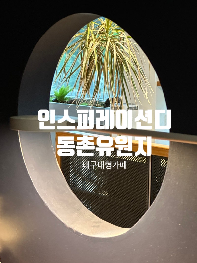 사진 6