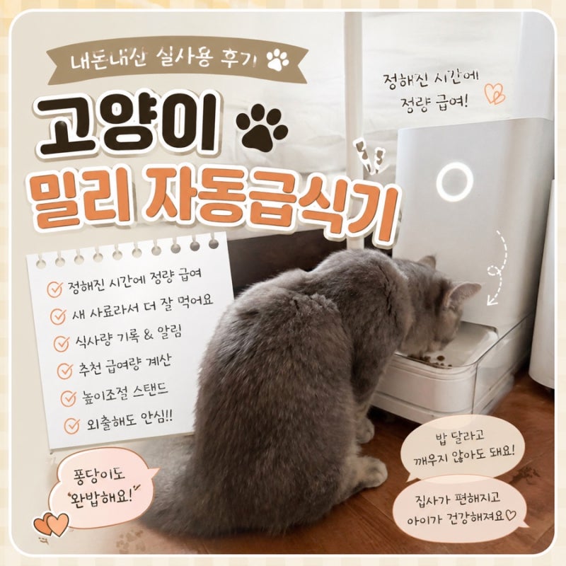 고양이 밀리 자동급식기 내돈내산 실사용 후기