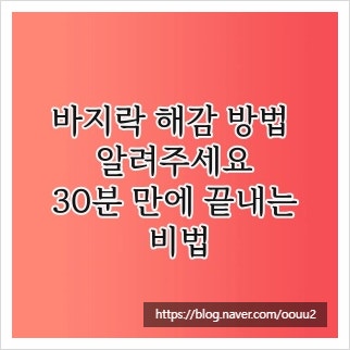 바지락 해감 방법 알려주세요, 30분 만에 끝내는 비법