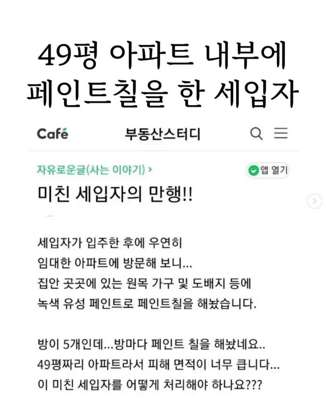  49평 아파트 내부에 페인트칠을 한 세입자