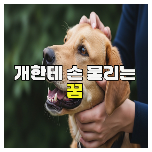 개한테 손 물리는 꿈의 의미와 심리적 영향