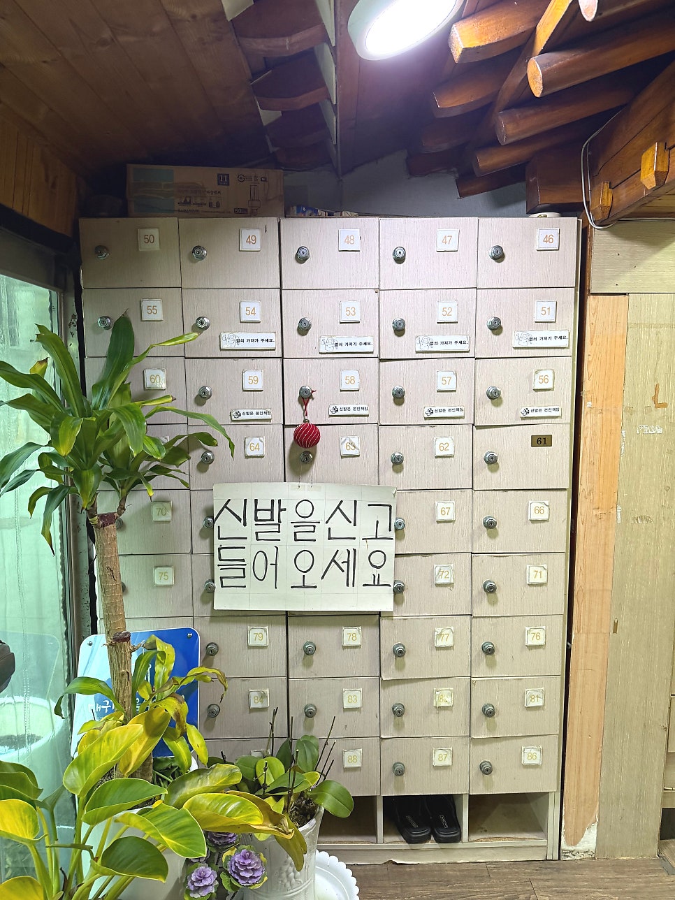 안성또순이 사진 6