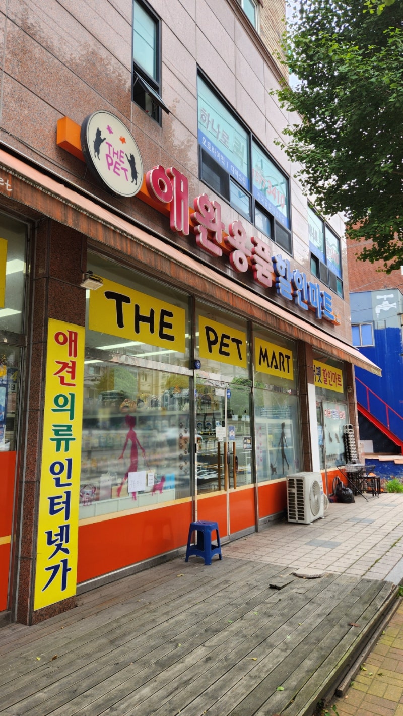 사진 2
