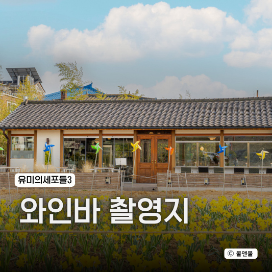  유미의세포들3 6회 와인바 촬영지 수원 행궁동 맛집 다이닝바