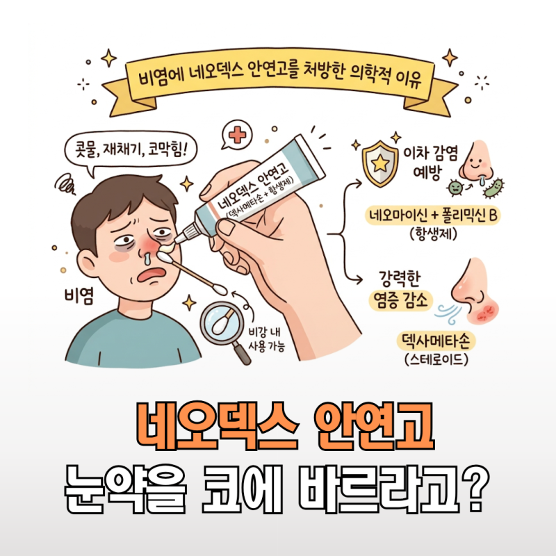 "눈 약을 코에 바르라고?" 의사가 비염에 네오덱스 안연고를 처방한 의학적 이유
