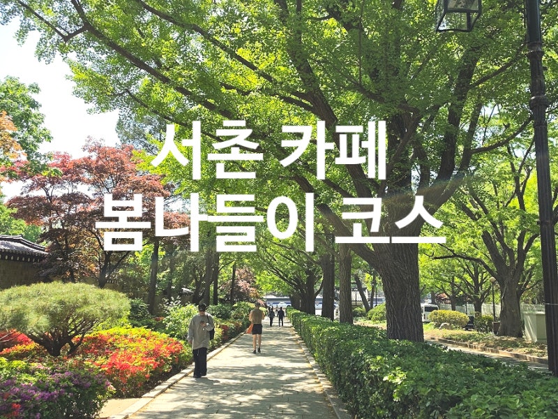 사진 4