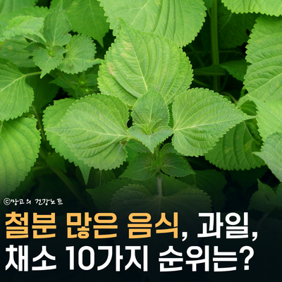 빈혈 심하다면 클릭! 철분 많은 음식 과일 채소 10가지 추천 순위는?