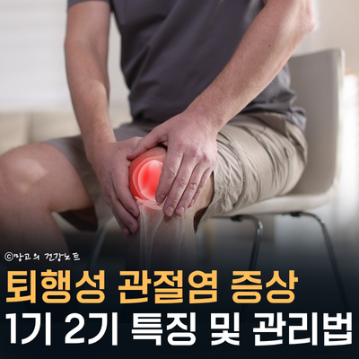 무릎 퇴행성 관절염 증상 1기 2기 특징 알아봅시다! 관리 및 예방법까지