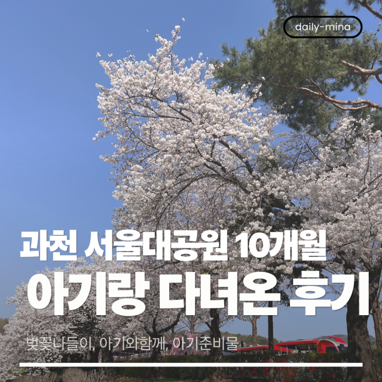 서울대공원 벚꽃 나들이 (10개월 아기와 함께, 아기 준비물)