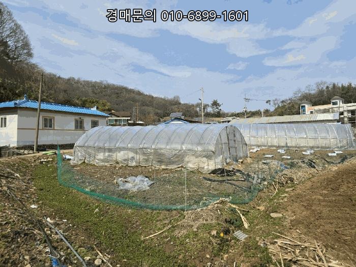  전북 군산시 나운동 1298, 독보적인 가치를 품은 근린주택 경매 물건! 시세 대비 압도적인 가격으로 군산 부동산 투자 기회를 잡으세요! 2025타경308[5]