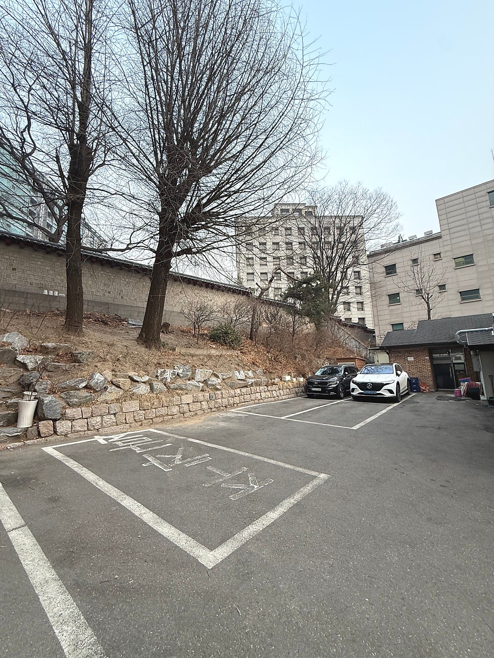 안성또순이 사진 3