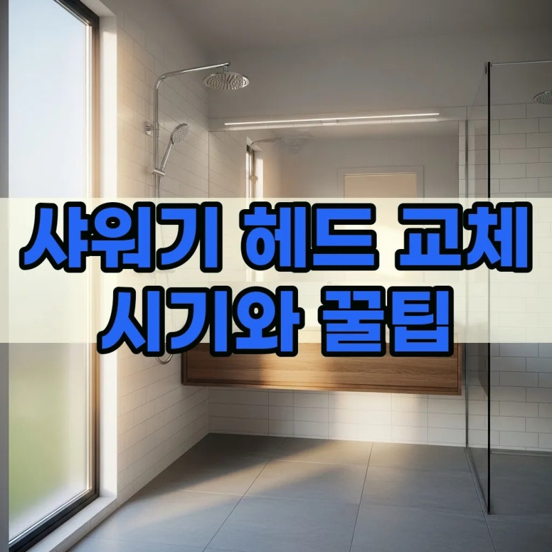 샤워기 헤드 교체 시기 확인과 필터 선택 기준 가이드
