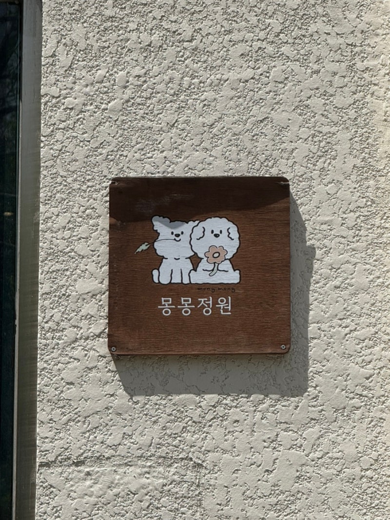 사진 5