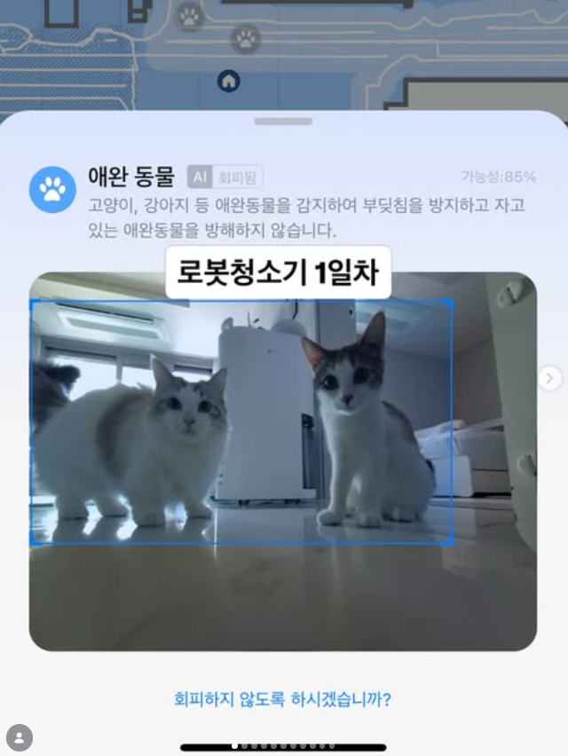  로봇 청소기를 대하는 고양이의 반응 1일차 VS 4개월차 비교