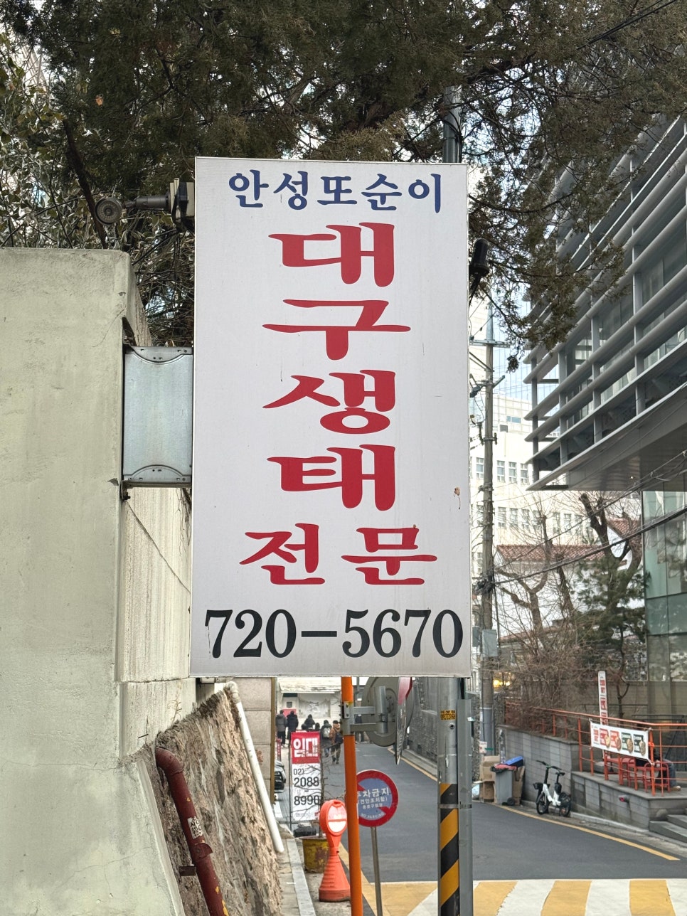 안성또순이 사진 1