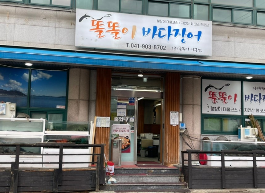 똘똘이바다장어 사진 2