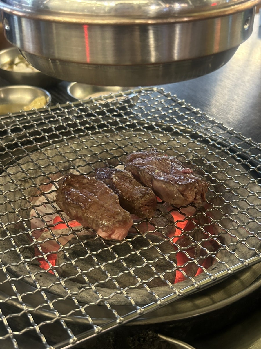 횃불 사진 4