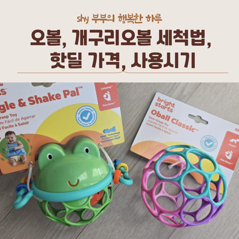 오볼, 개구리오볼 세척법, 핫딜 가격, 사용시기
