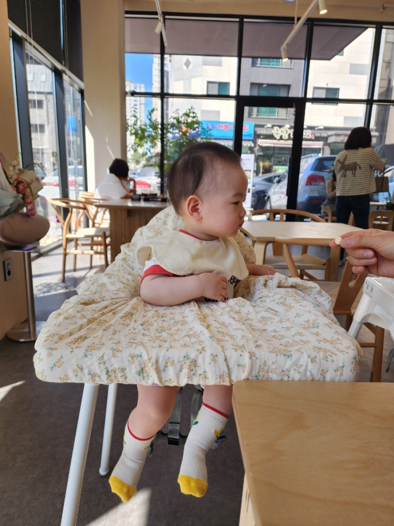 식당 아기의자 커버 추천 뮤이 안심커버|구강기 아기 외출 필수템