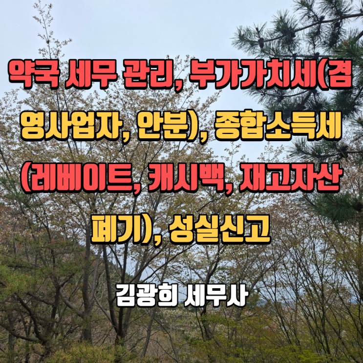  약국 세무 관리, 부가가치세(겸영사업자, 안분), 종합소득세(레베이트, 캐시백, 재고자산 폐기), 성실신고