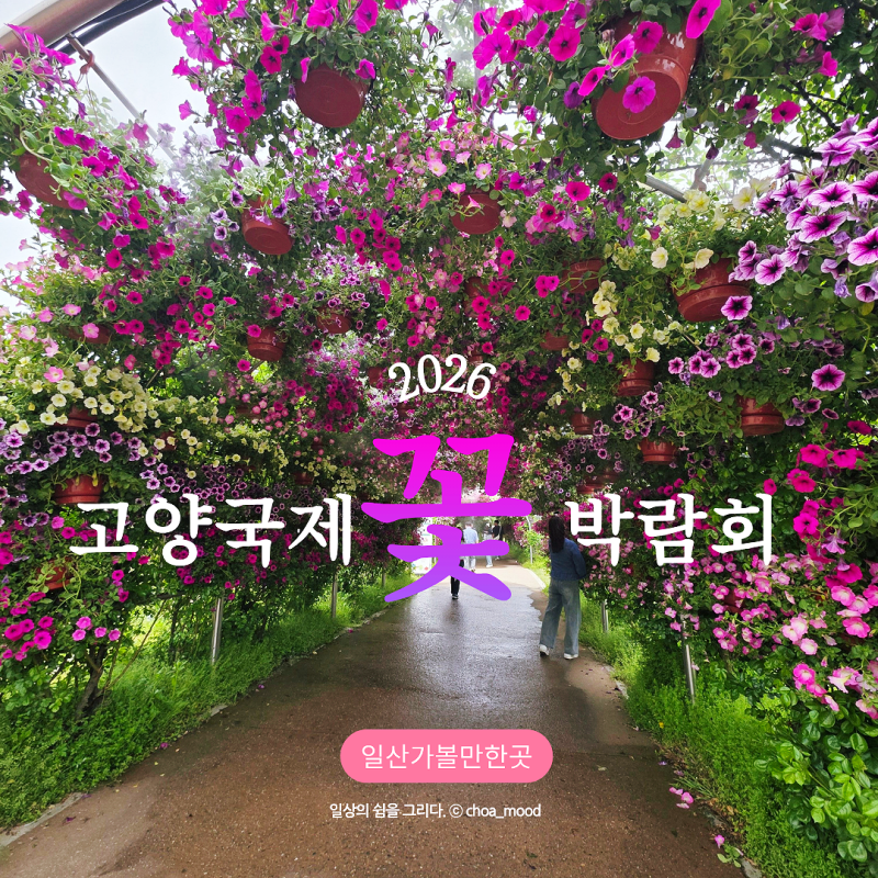 2026 고양국제꽃박람회 일산호수공원 야외 실내 전시 체험 총정리