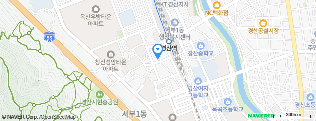  경산역 인근 신축부지 (주택,토지)매매 328제곱미터