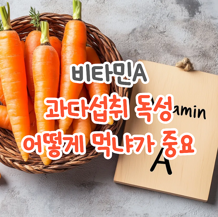  비타민A 베타카로틴 효능 음식 과다 섭취가 위험한 경우