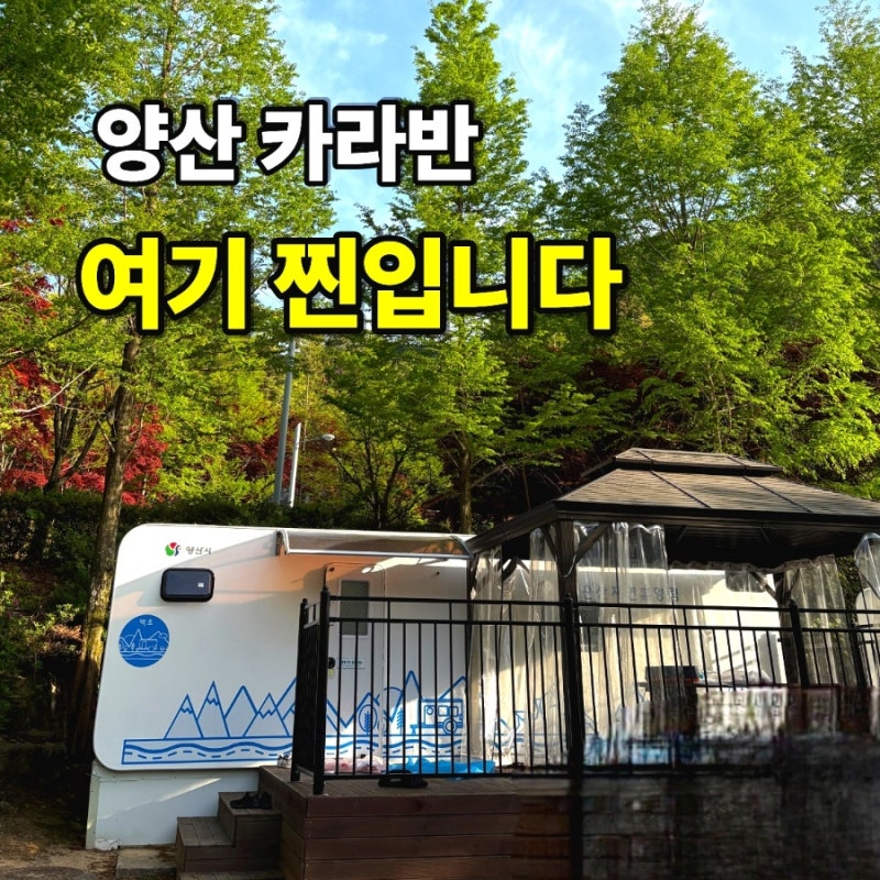 양산 카라반 추천｜대운산자연휴양림 백조 카라반 후기 (바베큐 최고)