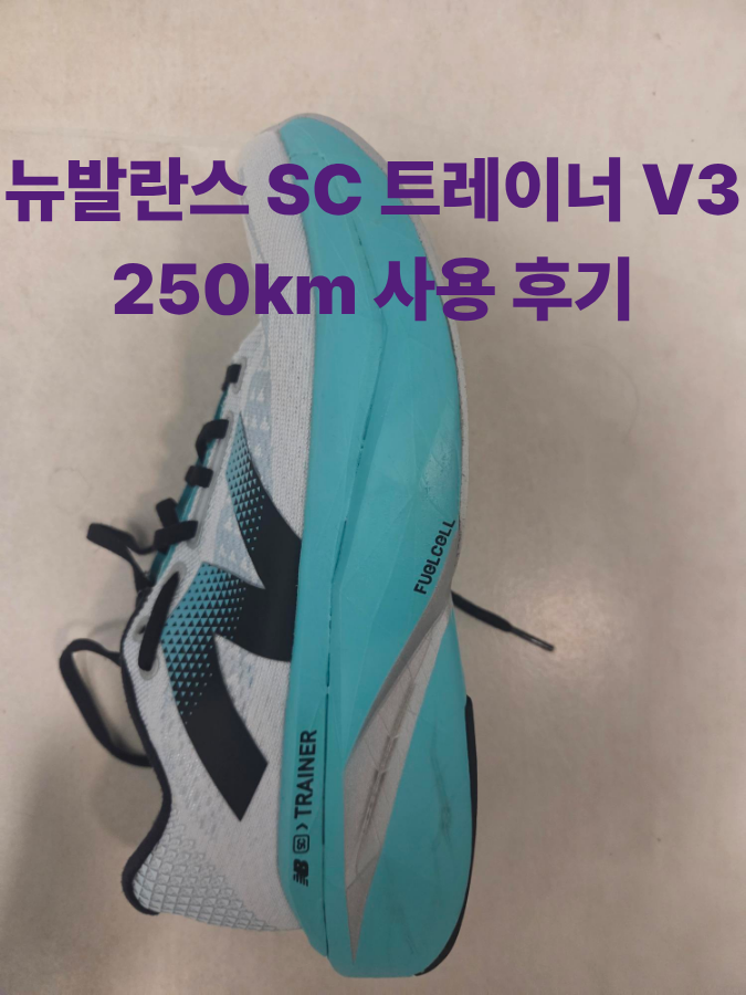 [러닝화 리뷰][내돈내산] 뉴발란스 SC 트레이너 V3 250Km 실착 후기: 장거리 LSD 훈련에 특화된 슈....