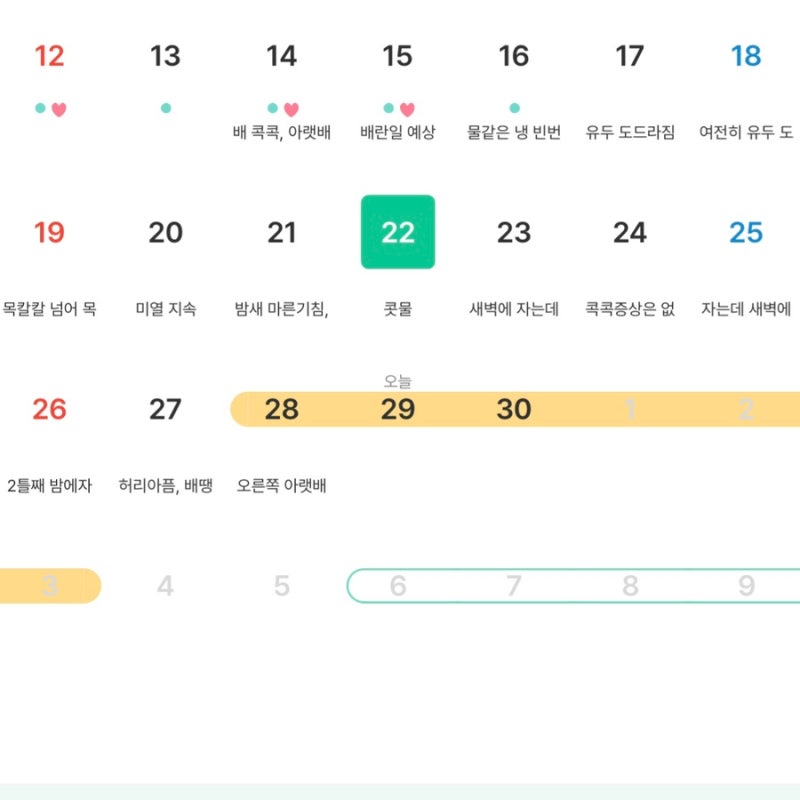 7주차 계류유산 후 아기준비 배란 증상✨ (배란 1일차 ~ 배란 + 14일차)