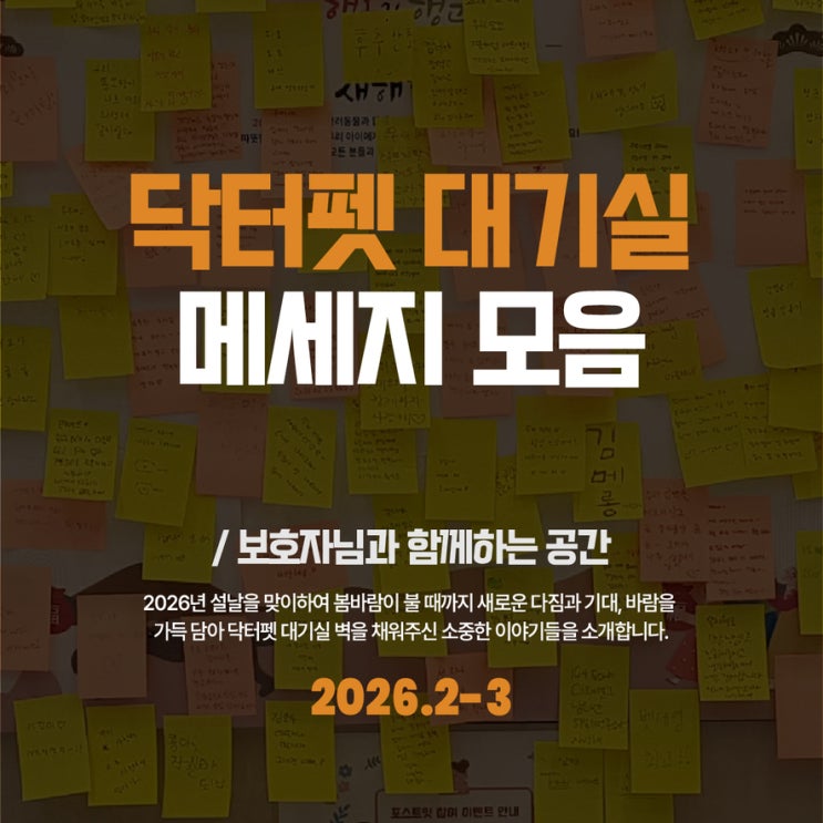  닥터펫동물의료센터 대기실 담벼락 메세지 모음 2026년 2-3월 부산 진구 24시 동물병원