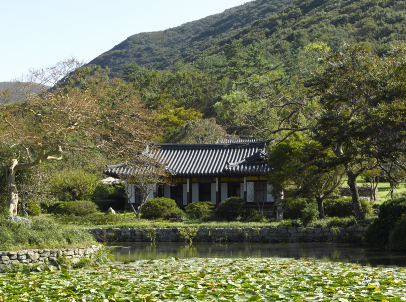 사진 6