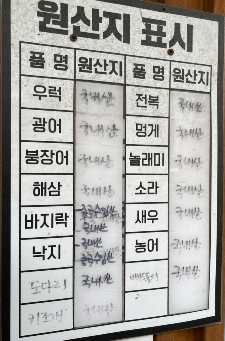 똘똘이바다장어 사진 6
