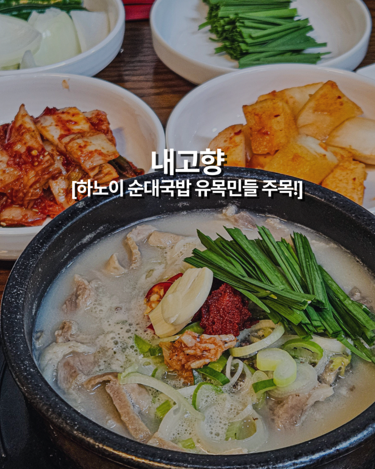  순대국밥 유목민 정착지, 맑고 깊은 국물의 끝판왕 '내고향' 하노이 미딩 맛집 추천