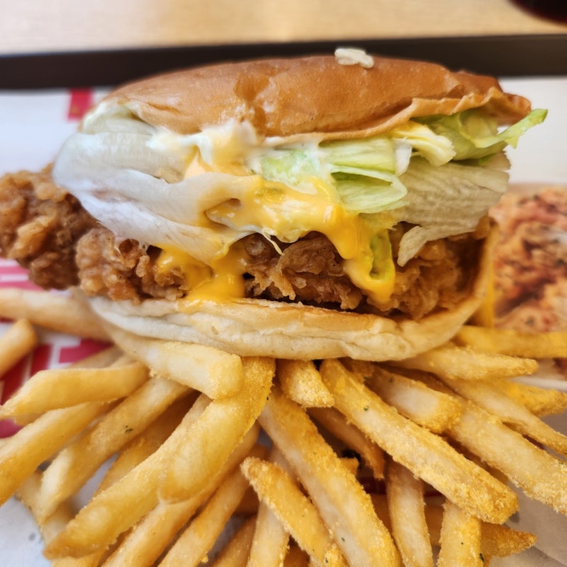 KFC 치킨나이트 메뉴판 1+1 햄버거 치킨 총정리 2026.04