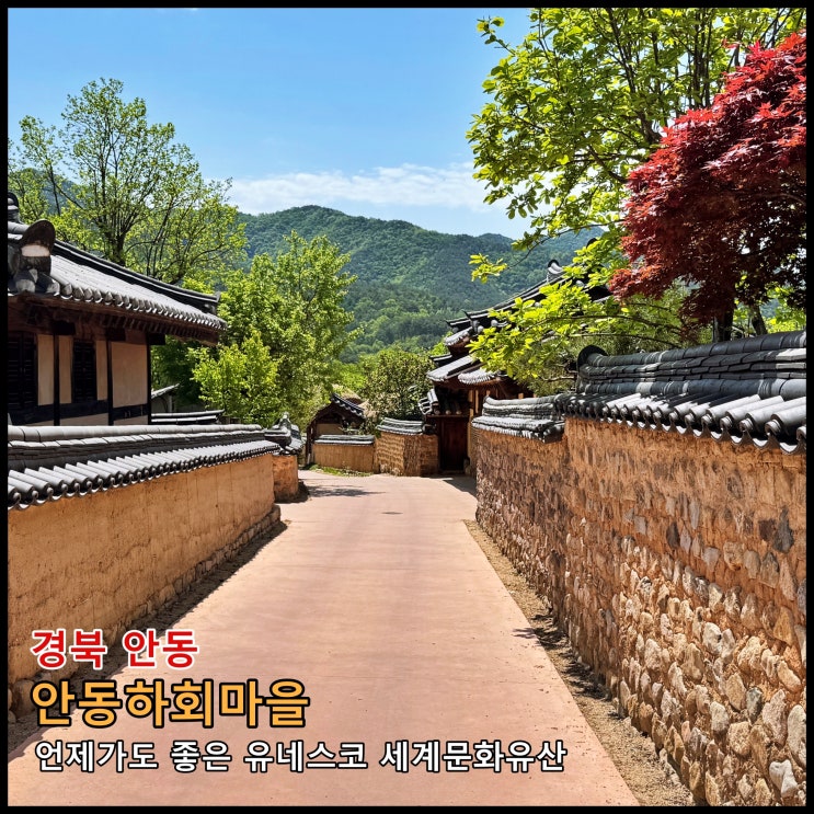  [안동] ️ 언제가도 좋은 유네스코 세계문화유산 '안동하회마을'
