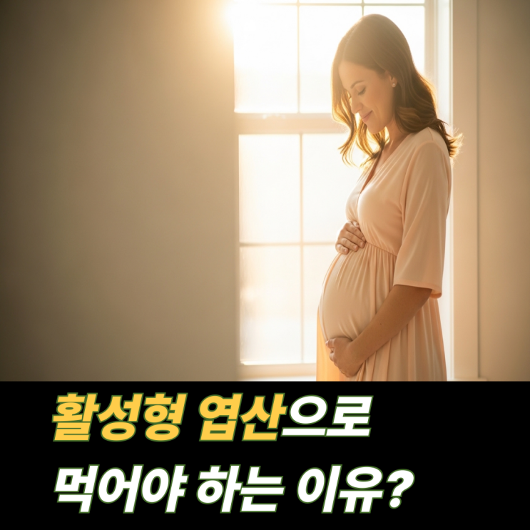  활성형 엽산 효능 부작용 섭취방법 총정리 ㅣ 일반 엽산 차이 고르는 팁까지