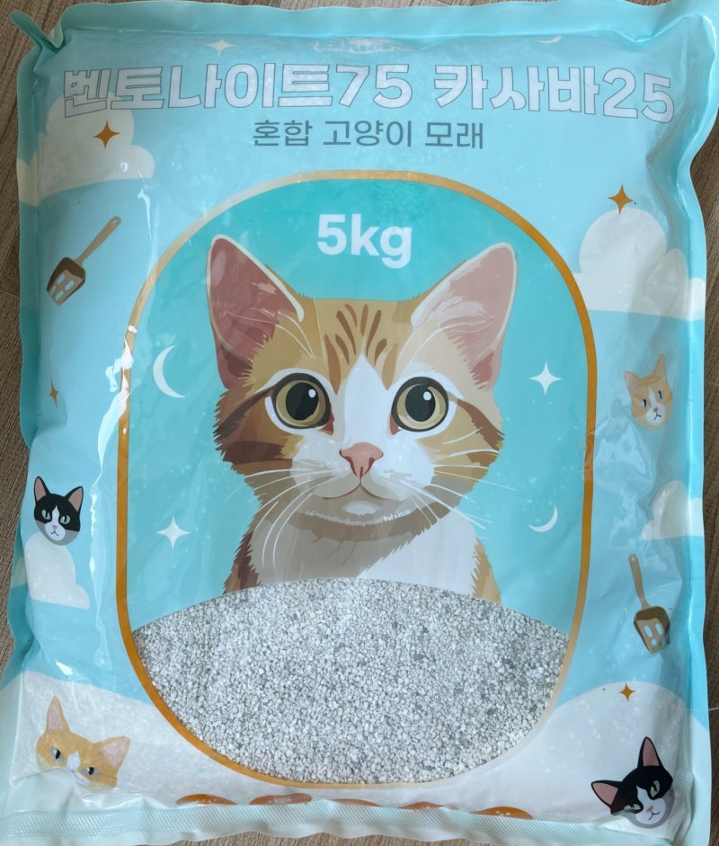 사진 5