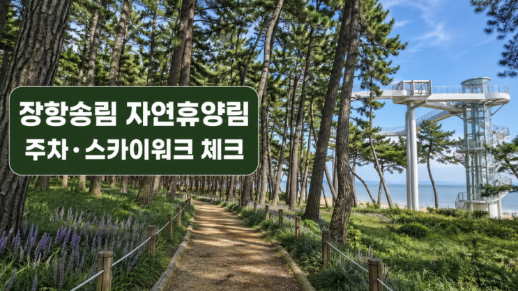 장항송림 자연휴양림 주차·스카이워크 산책코스 체크