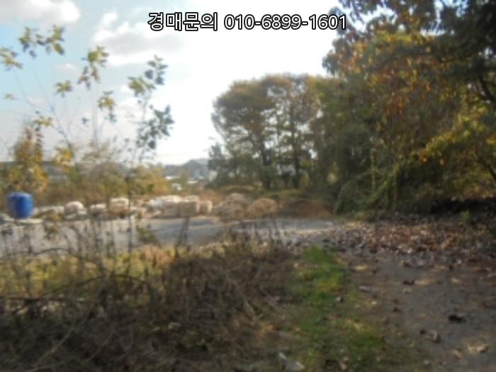  충북 음성군 금왕읍 사창리, 중부내륙고속도로 인접 대규모 공장경매! 압도적 물류 허브로 사업 확장 기회를 잡으세요 2024타경3233