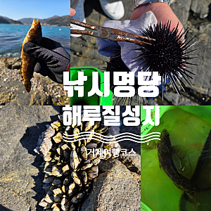 낚시와 해루질을 한 번에? 거제도 해루질 포인트 공곶이 비밀 스팟