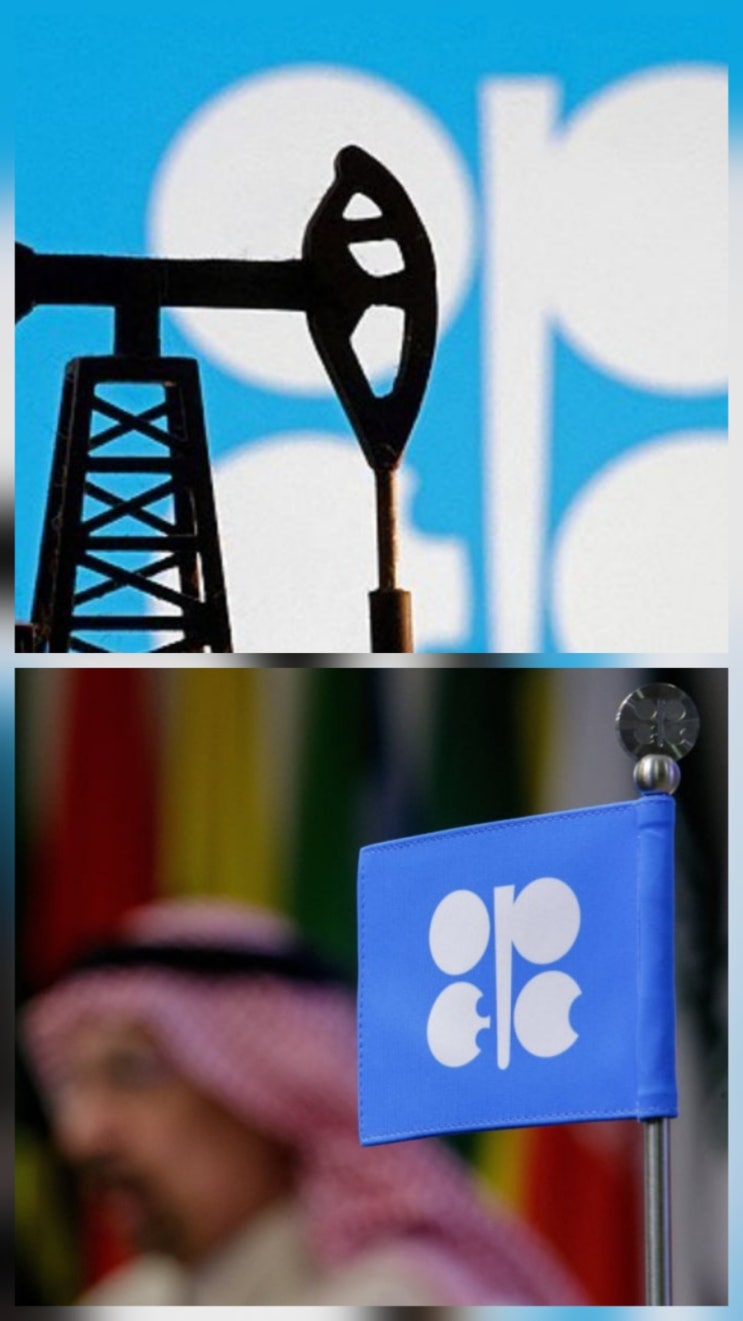UAE OPEC 탈퇴 피해 수혜주 전망 기업 분석