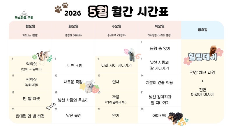 독스하트 구리