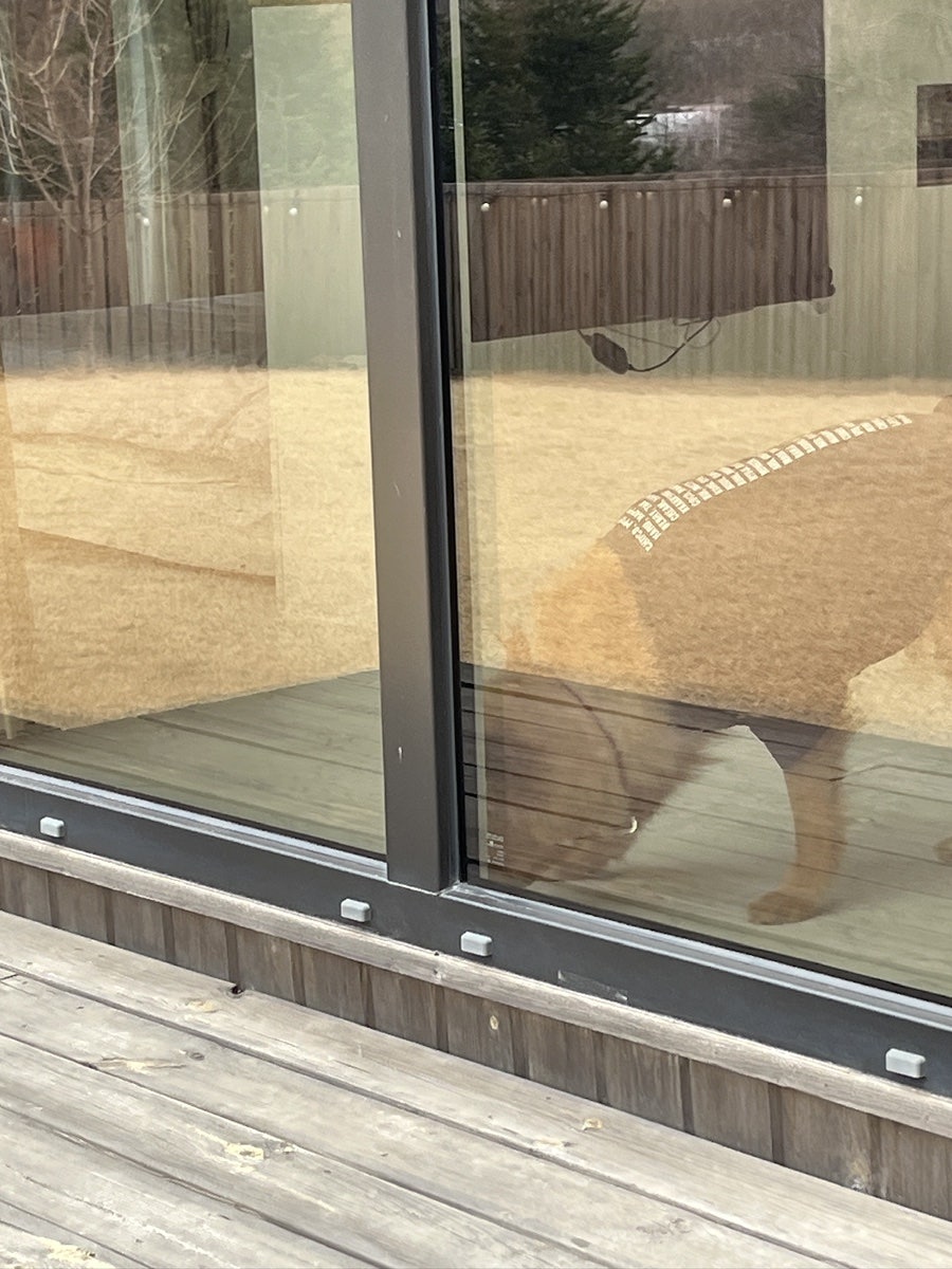 보리네민박 사진 6