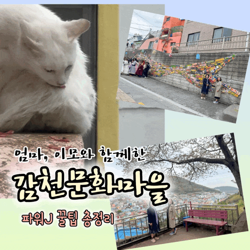  친정 엄마·이모와 감천문화마을 나들이｜스탬프투어부터 포토존까지 하루 코스 총정리 (소소한 꿀팁 포함)