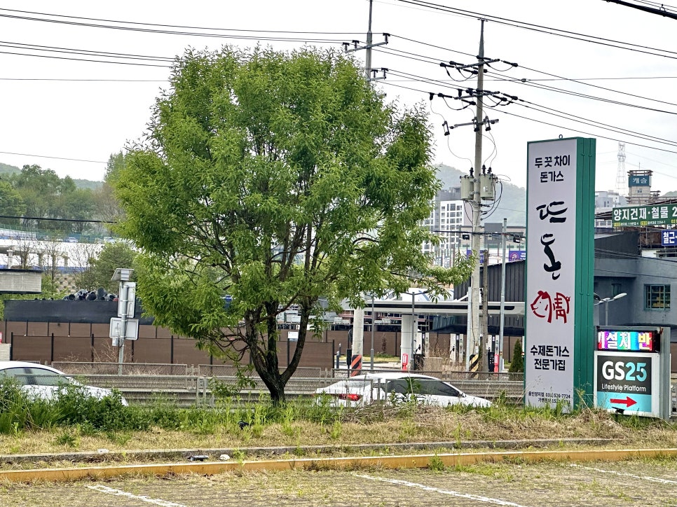 뜨돈 용인양지점 사진 2