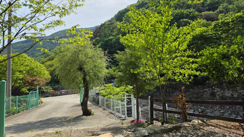 사진 7