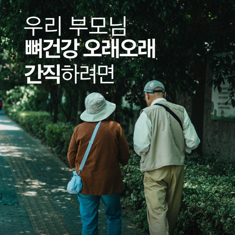 뼈건강에 칼슘만 챙기셨나요? 약사가 알려드리는 진짜 뼈건강 영양제 고르는 법