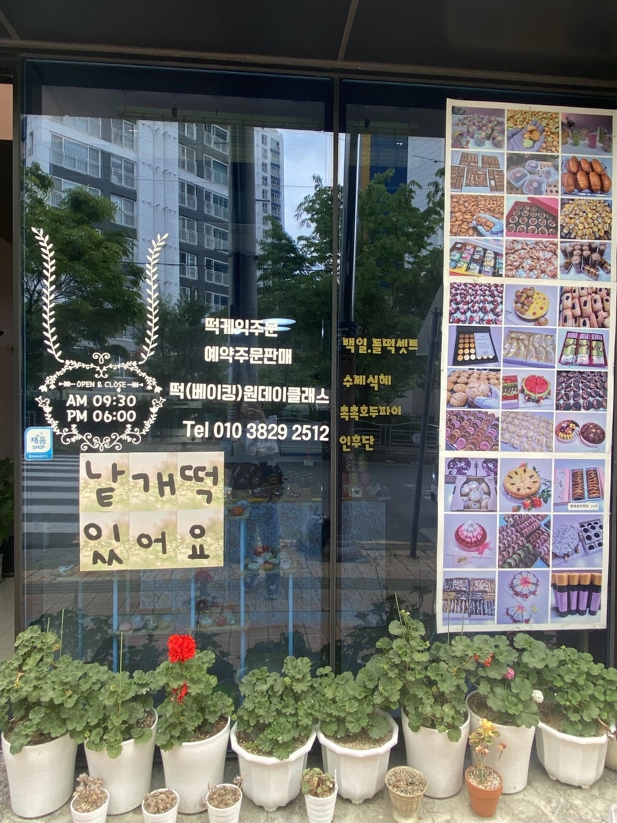 꼬소미 사진 3